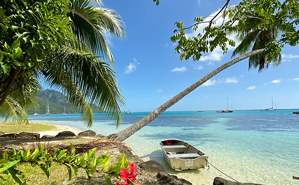 Plage privée CocoBulle à Moorea