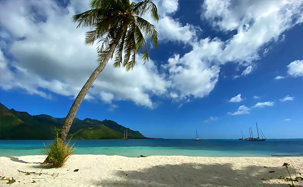 Plage privée CocoBulle à Moorea