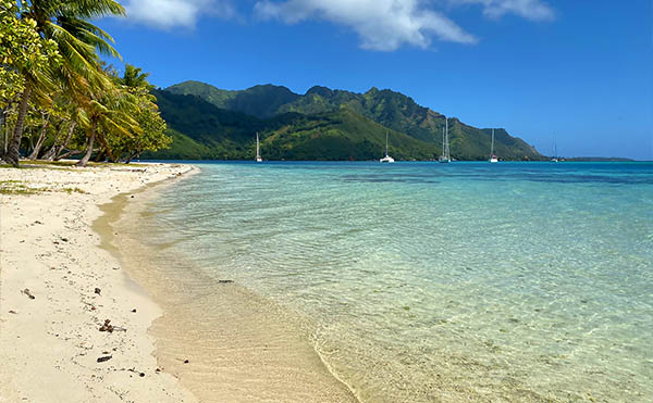 Plage privée CocoBulle à Moorea